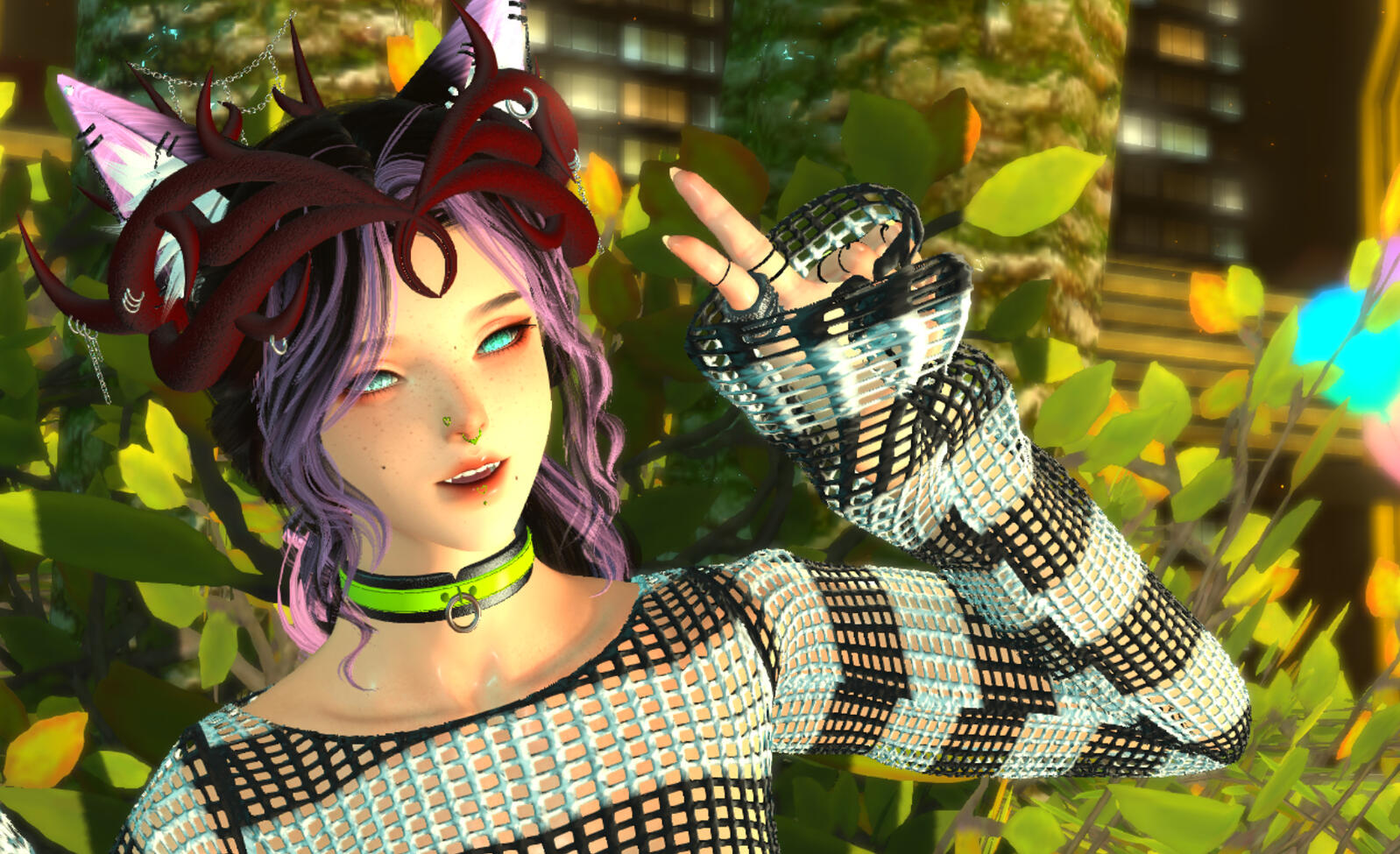 House Cat - L'iuna Aidenious